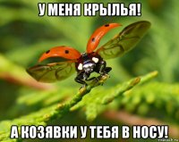 у меня крылья! а козявки у тебя в носу!