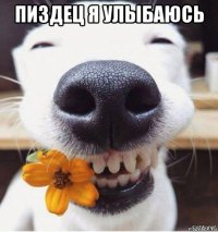 пиздец я улыбаюсь 