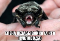  елена незабывайко (а кто кукловод?)