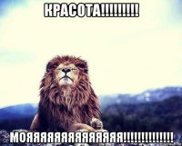 красота!!!!!!!!! мояяяяяяяяяяяяяя!!!!!!!!!!!!!!