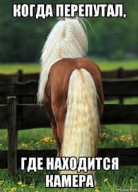 когда перепутал, где находится камера