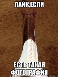 лайк,если есть такая фотография