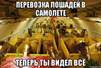 перевозка лошадей в самолете теперь ты видел всё