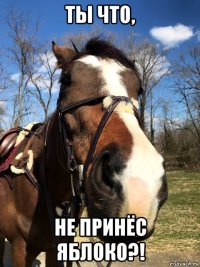 ты что, не принёс яблоко?!