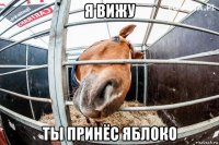 я вижу ты принёс яблоко
