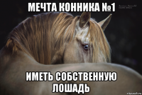 мечта конника №1 иметь собственную лошадь