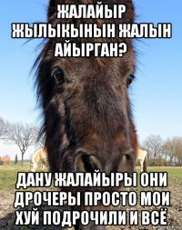 жалайыр жылыкынын жалын айырган? дану жалайыры они дрочеры просто мои хуй подрочили и всё