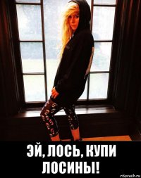  эй, лось, купи лосины!