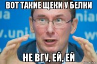 вот такие щеки у белки не вгу, ей, ей