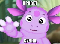 привет сучка