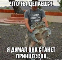 что ты делаеш?! я думал она станет принцессой