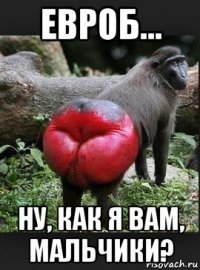 евроб... ну, как я вам, мальчики?