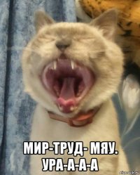  мир-труд- мяу. ура-а-а-а