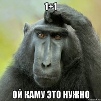 1+1 ой каму это нужно