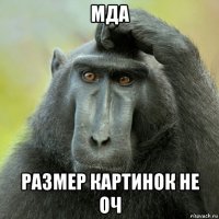мда размер картинок не оч