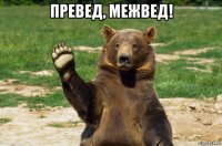 превед, межвед! 