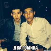  два гомика