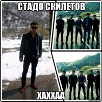 стадо скилетов хаххаа