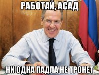 работай, асад ни одна падла не тронет