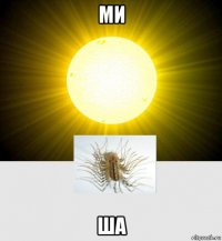 ми ша