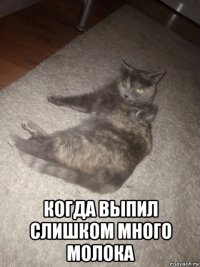  когда выпил слишком много молока
