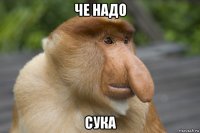 че надо сука