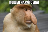 пошел нахуй сука! 