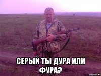  серый ты дура или фура?