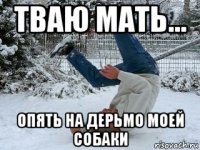 тваю мать... опять на дерьмо моей собаки
