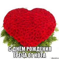 с днём рождения греча от кота