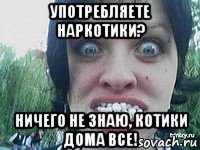 употребляете наркотики? ничего не знаю, котики дома все!