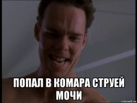  попал в комара струей мочи