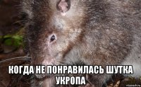  когда не понравилась шутка укропа