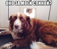 оно за моей спиной? 