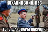коханивский, пес ты в шаровары насрал?