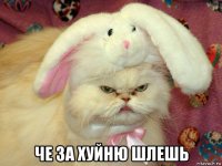  че за хуйню шлешь