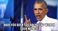  have you been to coachella? worth your money!