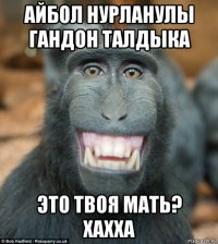 айбол нурланулы гандон талдыка это твоя мать? хахха