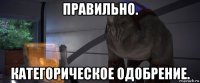 правильно. категорическое одобрение.