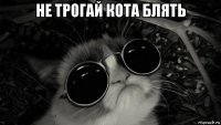 не трогай кота блять 