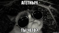 агетныч ты чего?