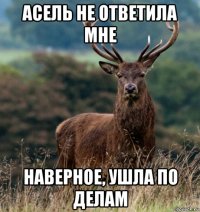 асель не ответила мне наверное, ушла по делам