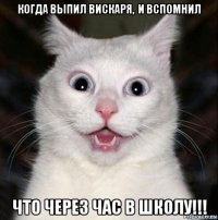 когда выпил вискаря,  и вспомнил что через час в школу!!!