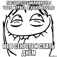 паскареебы каникулы чтоб играть в конп ночью не в секрете и спать днём