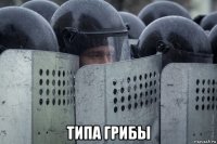  типа грибы