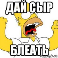 дай сыр блеать