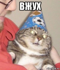 вжух 
