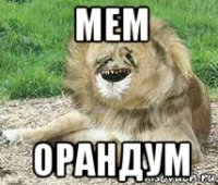 мем орандум