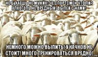 не бухаешь не мужик! че спортсмен что ли? алкоголь не вредный! выпей с нами! немного можно выпить! у качков не стоит! много тренироваться вредно!