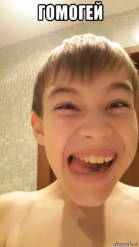 гомогей 